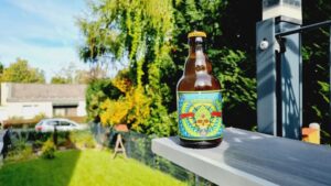 Enigma Hopnytized Everyday IPA5