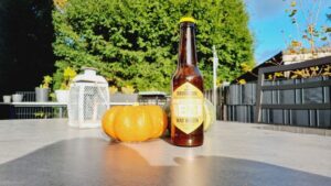Het Brouwdok Wad Weizen4