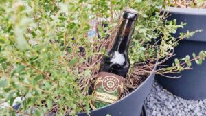 Maisel & Friends Hoppy Dunkel5