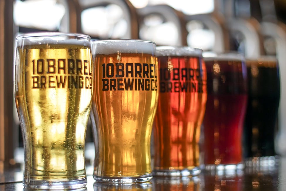 Welche Biere haben den höchsten IBU-Wert