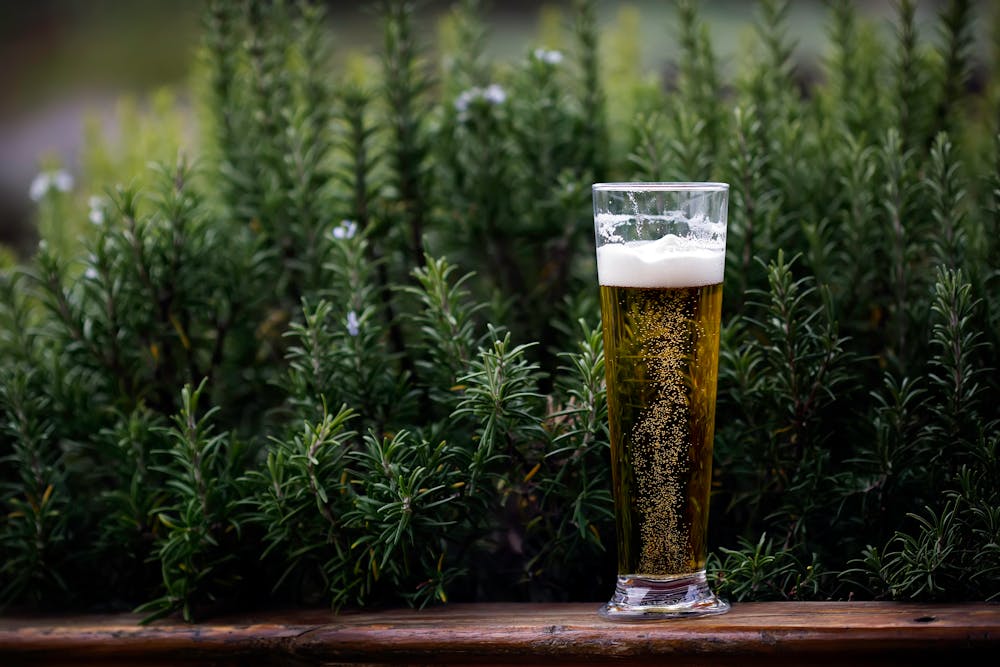 Wie erkennt man ein gutes Weizenbier am Geruch