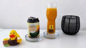 VandeStreek Mosaic Mango Sour eingeschenkt im Biertest