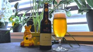 Brauhaus zur güld’nen Rose Pils eingeschenkt im Biertest